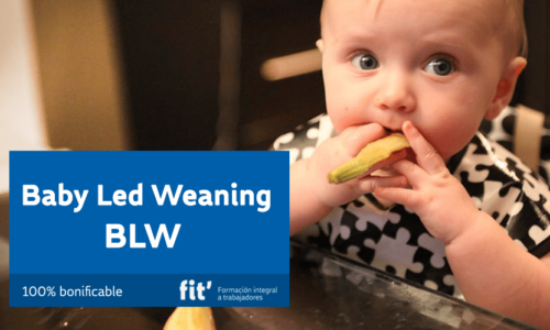 Baby Led Weaning (BLW)