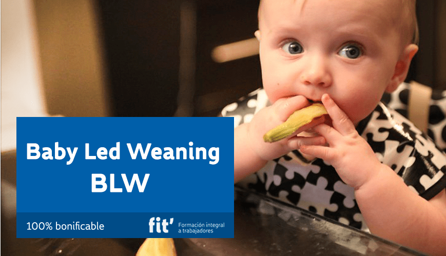 formación online bonificable para educación baby led weaning – blw
