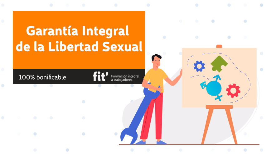 Formación online sobre la Garantía Integral de la Libertad sexual en empresas y organizaciones