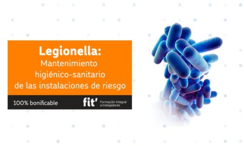 Legionella: Mantenimiento higiénico-sanitario
