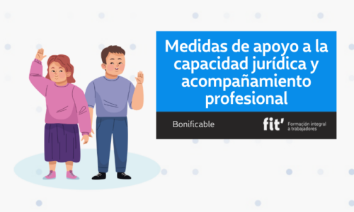 Medidas de apoyo a la capacidad jurídica y acompañamiento profesional